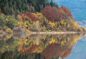 Cerknica